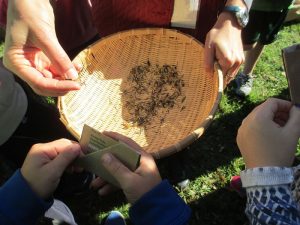 hands on bowl of seeds